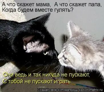 Отпущены гулять