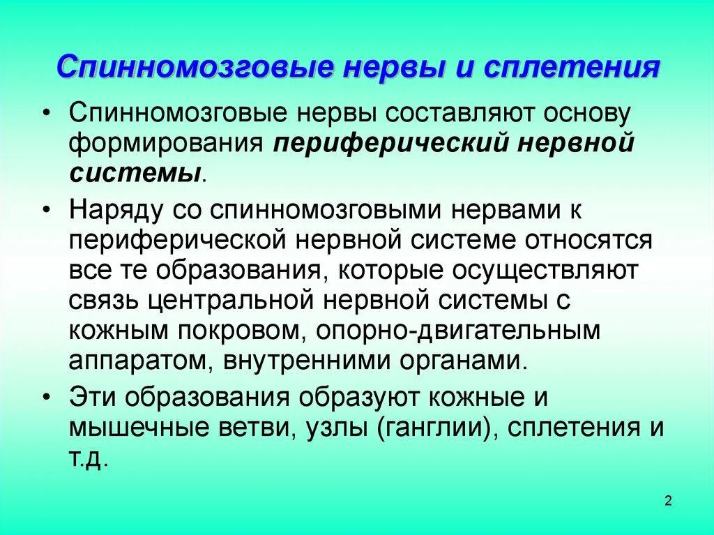 Таблица спинномозговые сплетения спинномозговые нервы. Области иннервации спинномозговых нервов. Сплетения спинномозговых нервов образуются. Область иннервации спинного мозга.