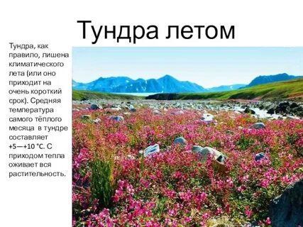 Чукотка весной