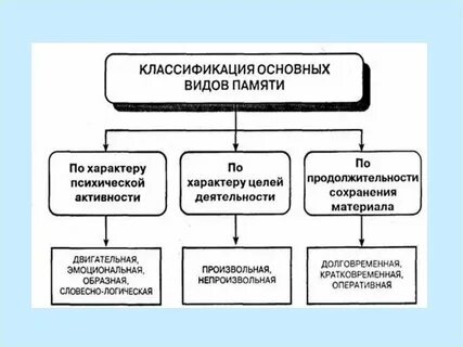 Высшие психические процессы у детей