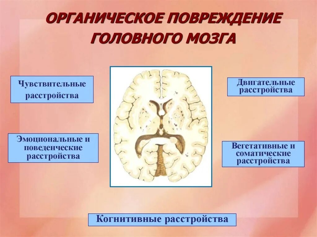 Органическое повреждение мозга