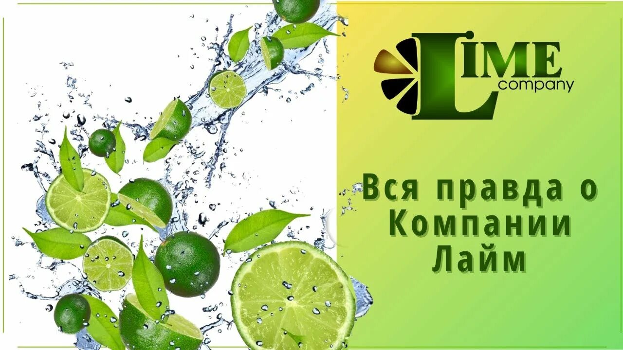Мейджик лайм академия. Презентация компании лайм. Академия лайм компани. Академия лайм компани. Лайм компания.