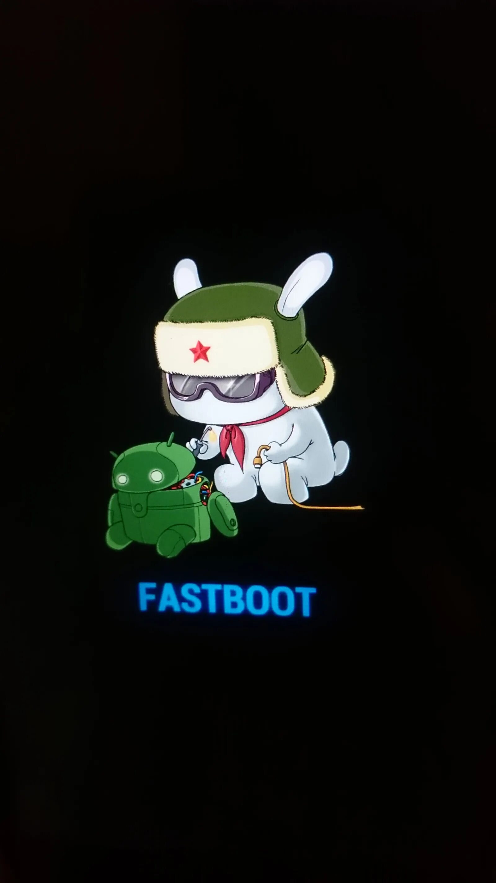 Кролик Xiaomi Fastboot. Заяц андроид Fastboot. Xiaomi заяц Fastboot logo. Андроид картинка Fastboot. На экране надпись fastboot что делать