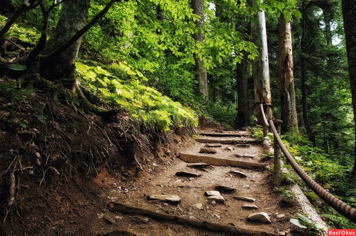 Трофимов горные тропы. Горные тропы читать полностью без регистрации. Трофимов ерофей "дикая война". Одиночка ерофей трофимов книга. Горные тропы читать полностью без регистрации.