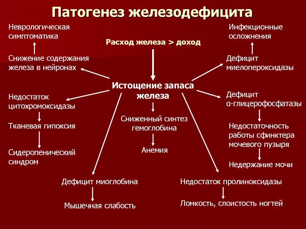 Патогенез железодефицитной анемии. Схема патогенеза анемий. Патогенез железодефицитной анемии терапия. Патогенез железодефицитной анемии патофизиология.