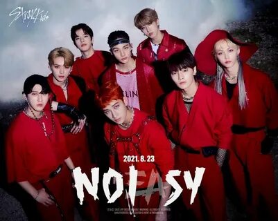 Stray kids как переводится