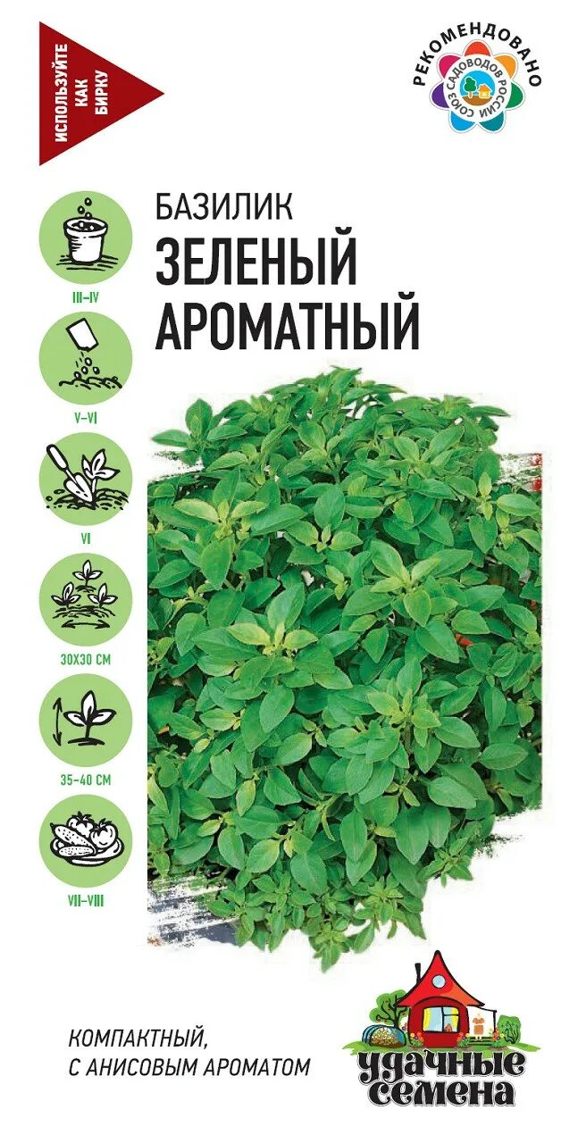 Базилик "зеленый". Базилик лучано. Базилик благородный ocimum basilicum. Базилик овощной генуэзский. Базилик перечный.