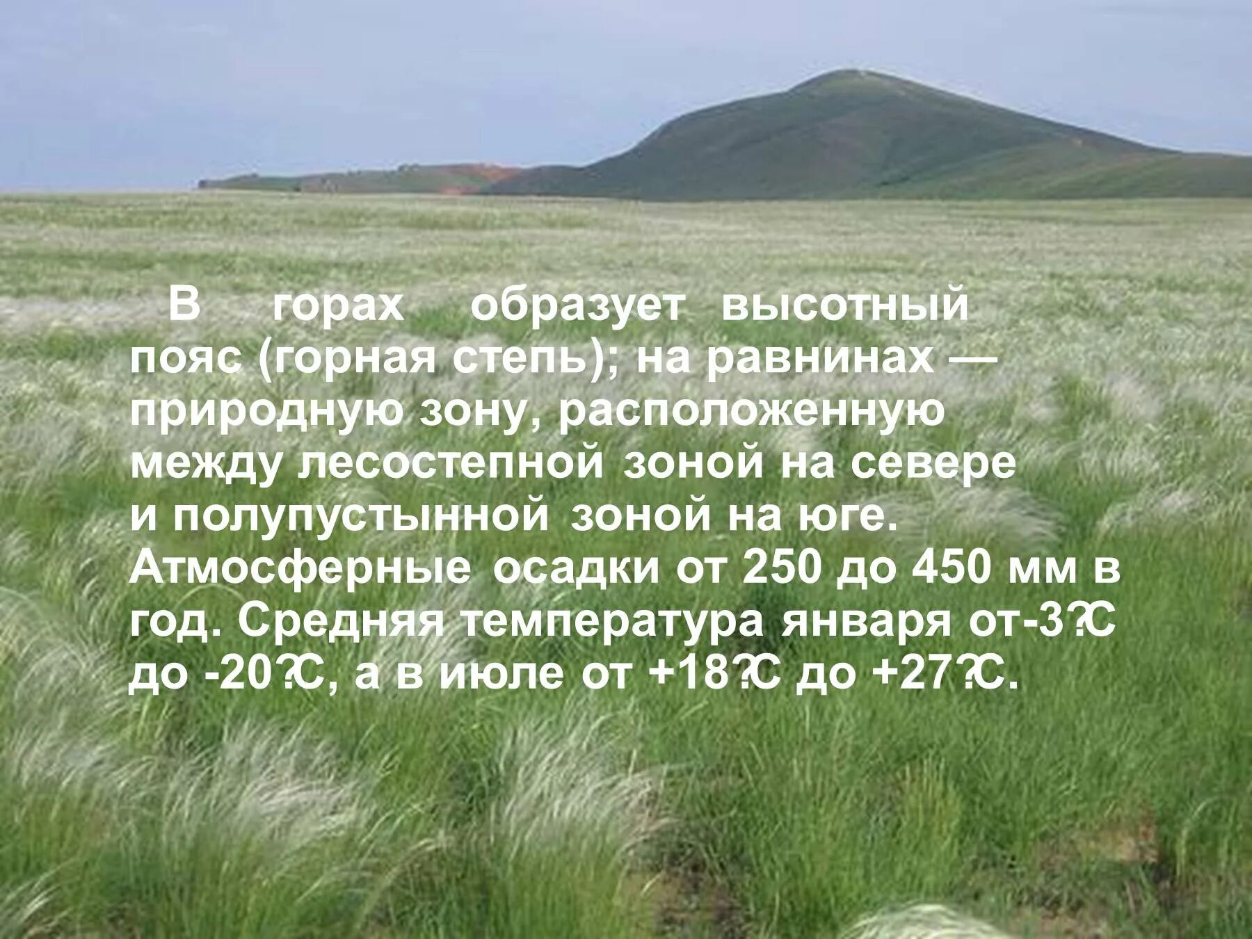 Стихи про степь. Горные степи презентация. Степь и горы. Гора в зоне степей. Главной причиной безлесья в степной зоне является