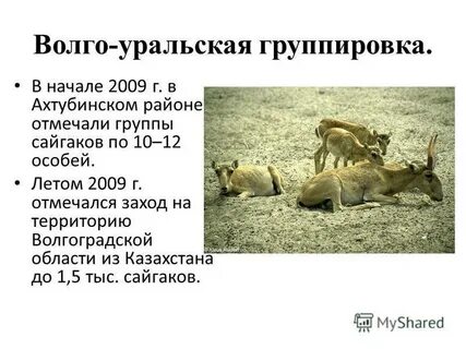Восстановление популяции