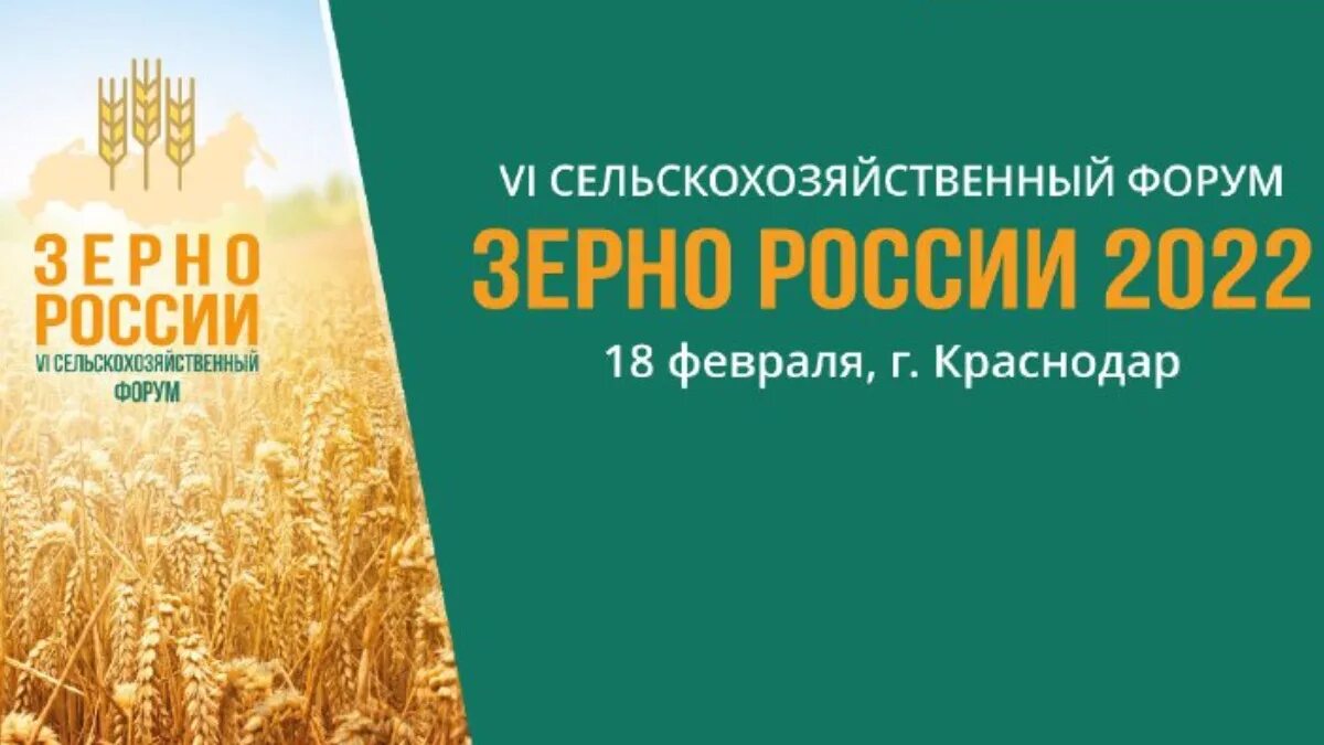 Зерно России форум. Форум зерно России 2023. Сельскохозяйственный форум форум. Зерно России 2021.