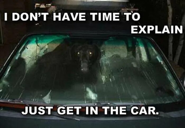 Don t car перевод. Don't touch my car. Ваз инфографика. Don't drive fast. Life's too short to drive boring cars наклейка.
