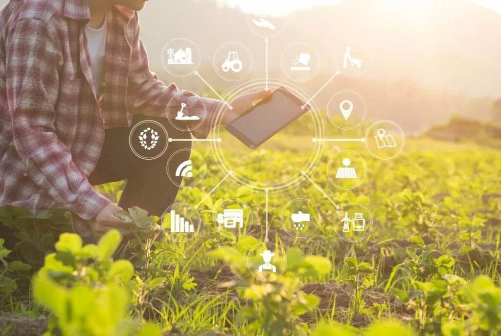 Искусственный интеллект. Коллективный разум. Человек философия. Боевые системы будущего. Джон дир поливалка на поле.