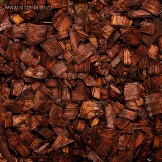Brown l