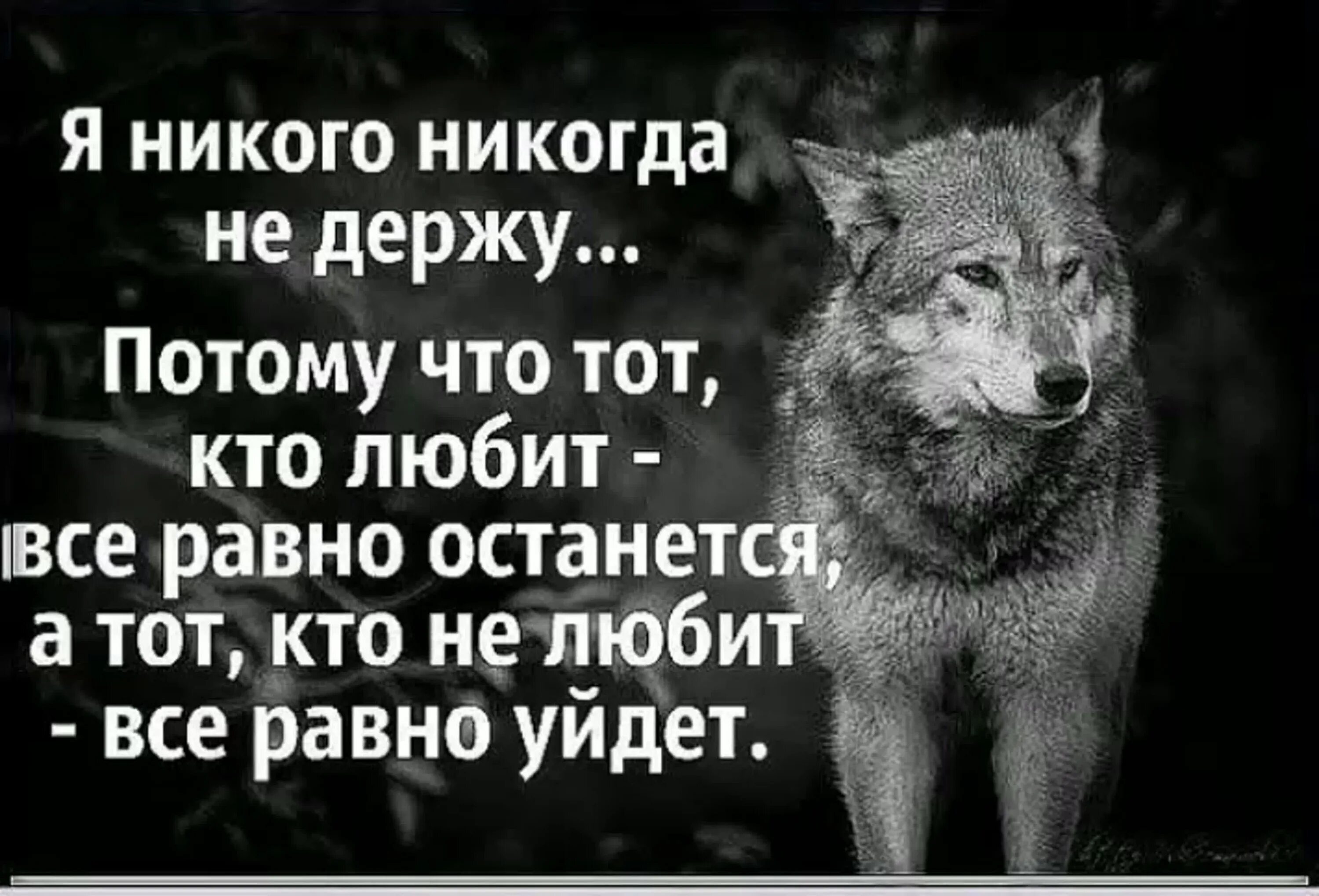 Смысл фразы уходя уходи. Цитаты. Никого не держу цитаты. Волк никогда не предаст свою волчицу ради доступной собаки. Мудрые цитаты.волк.