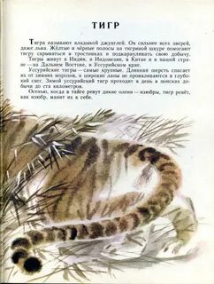 Зверь читать