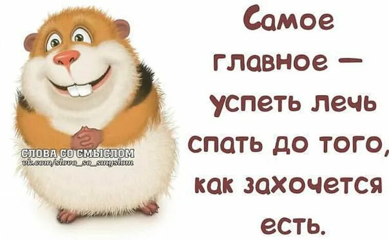 Смешные слова и выражения