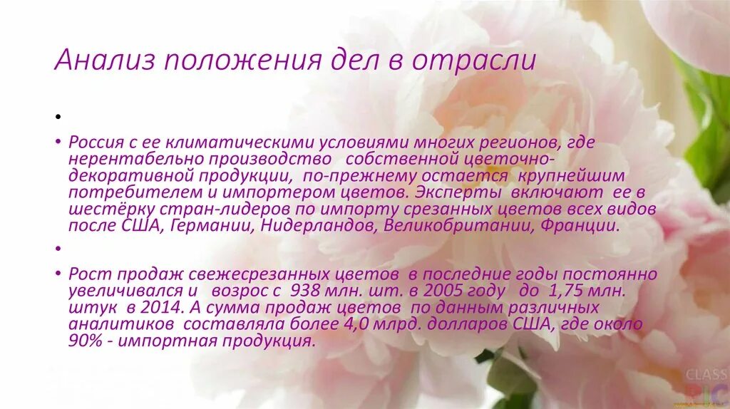Такого положения дел. Анализ положения дел в отрасли. анализ положения дел в отрасли бизнес план. анализ положения дел в отрасли кофейни. анализ положения дел в отрасли пример.