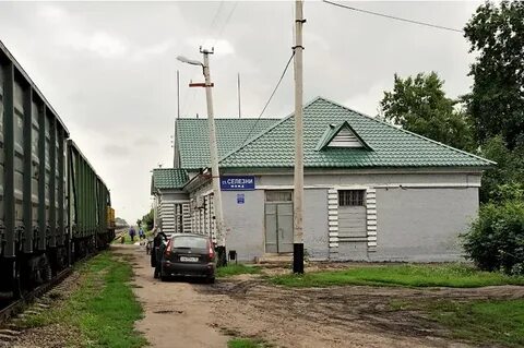 Селезни тамбовская область