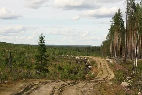 Погода волома муезерский