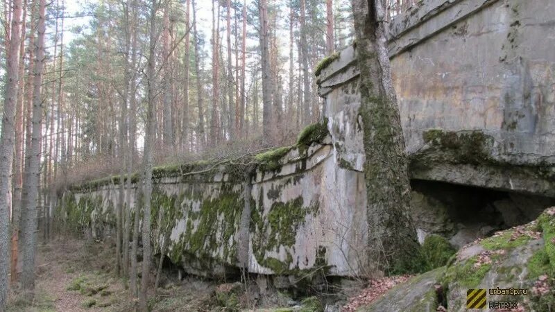 Лестница Куропаткина Форт ино. Форт Николаевский ино. Дача Куропаткина Форт ино. Заброшенный Форт Николаевский ино.