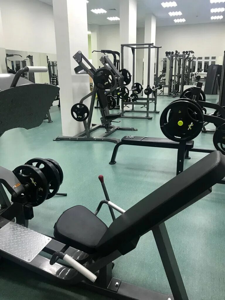 Нью лайф воронеж. Тренажерный зал на переверткина д 4. Школа фитнес инструкторов. Фитнес клуб лайф, воронеж. Фитнес клуб лайф, воронеж.