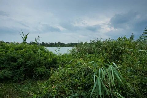 Остров большой краснодар