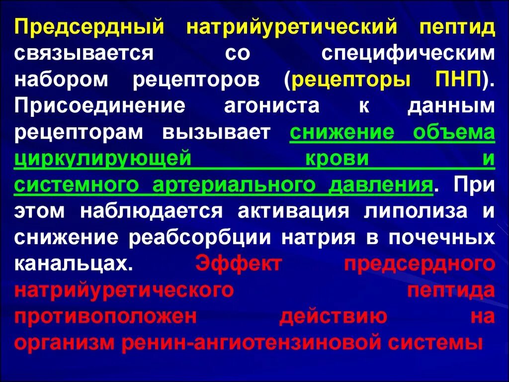 Пептид 32 мозга натрийуретический что это значит. Мозговой натрийуретический пептид ХСН. Мозговой натрийуретический пептид BNP норма. Мозговой натрийуретический пептид (NT-PROBNP) норма. Предсердный натрийуретический пептид норма.