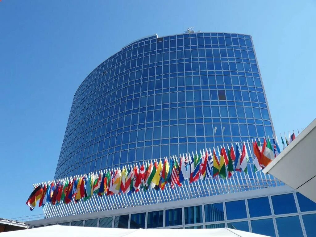 World property organization