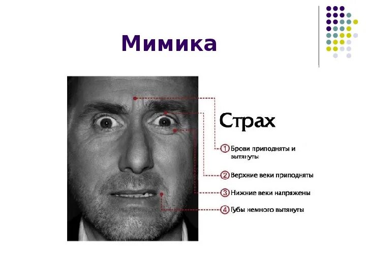 Выражение лицом к лицу. Страх мимика лица. страх эмоция. выражения лица эмоции. страх выражение лица.