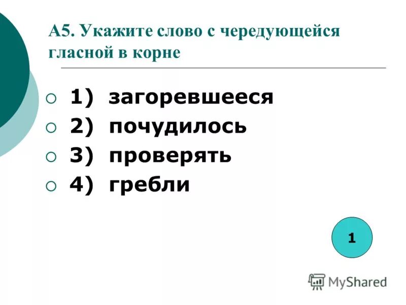 укажите 5 самых