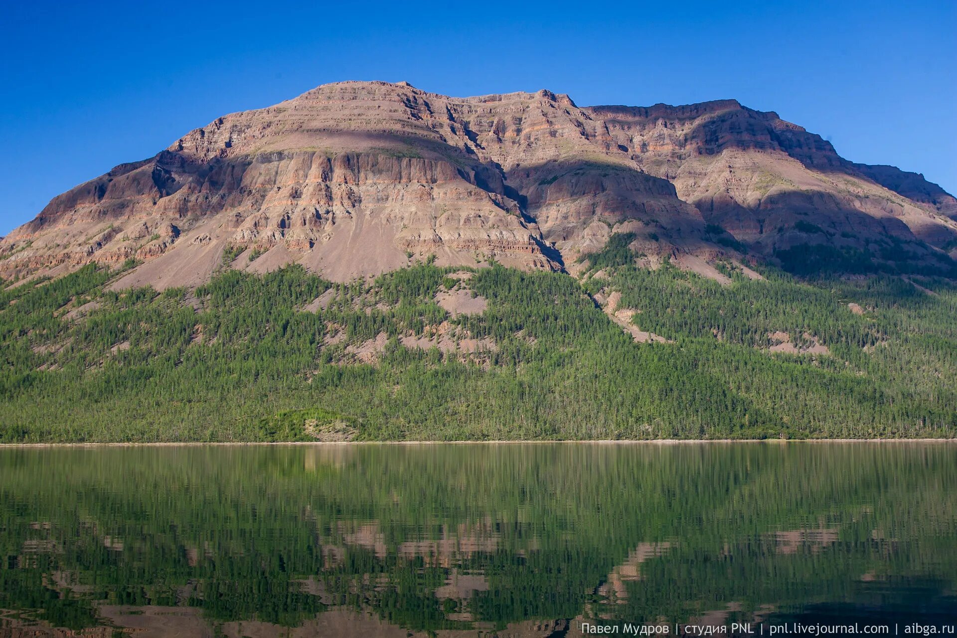 Лама норильск. Плато путорана озеро лана. Лама норильск. Таймыр озеро лама. Дно озера лама.