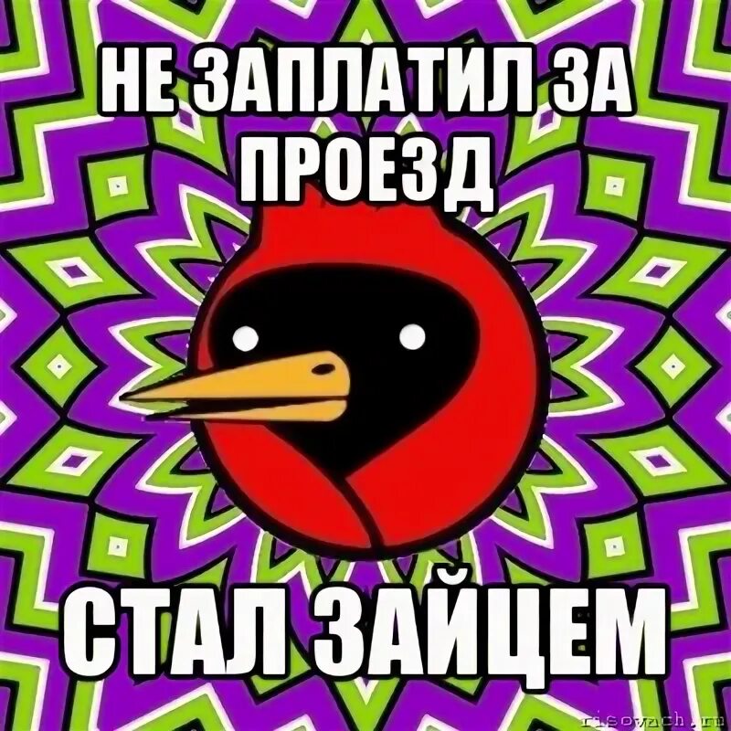 Ща заплачу. Омская птица мемы. омская птичка мем. ща заплачу мем.