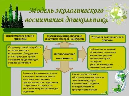 Экологические педагогические технологии