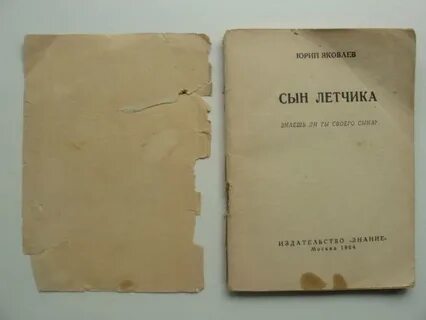 Сын летчика