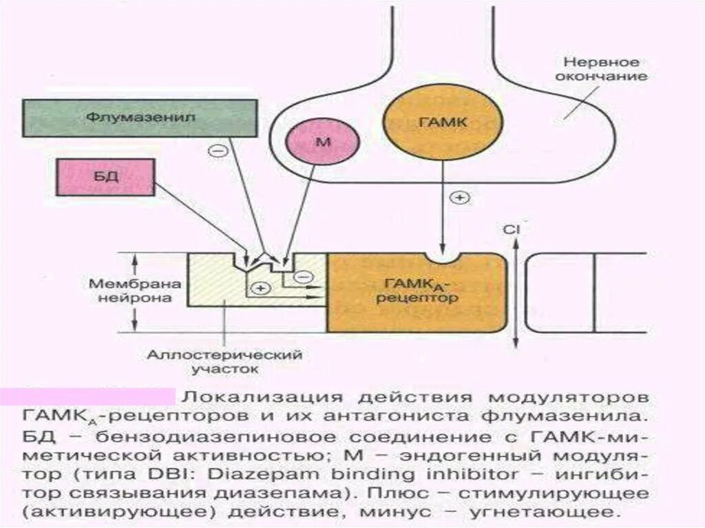 ГАМК рецепторы схема. ГАМК/бензодиазепиновые рецепторы. Механизм действия бензодиазепиновых рецепторов. Механизм действия ГАМК схема.