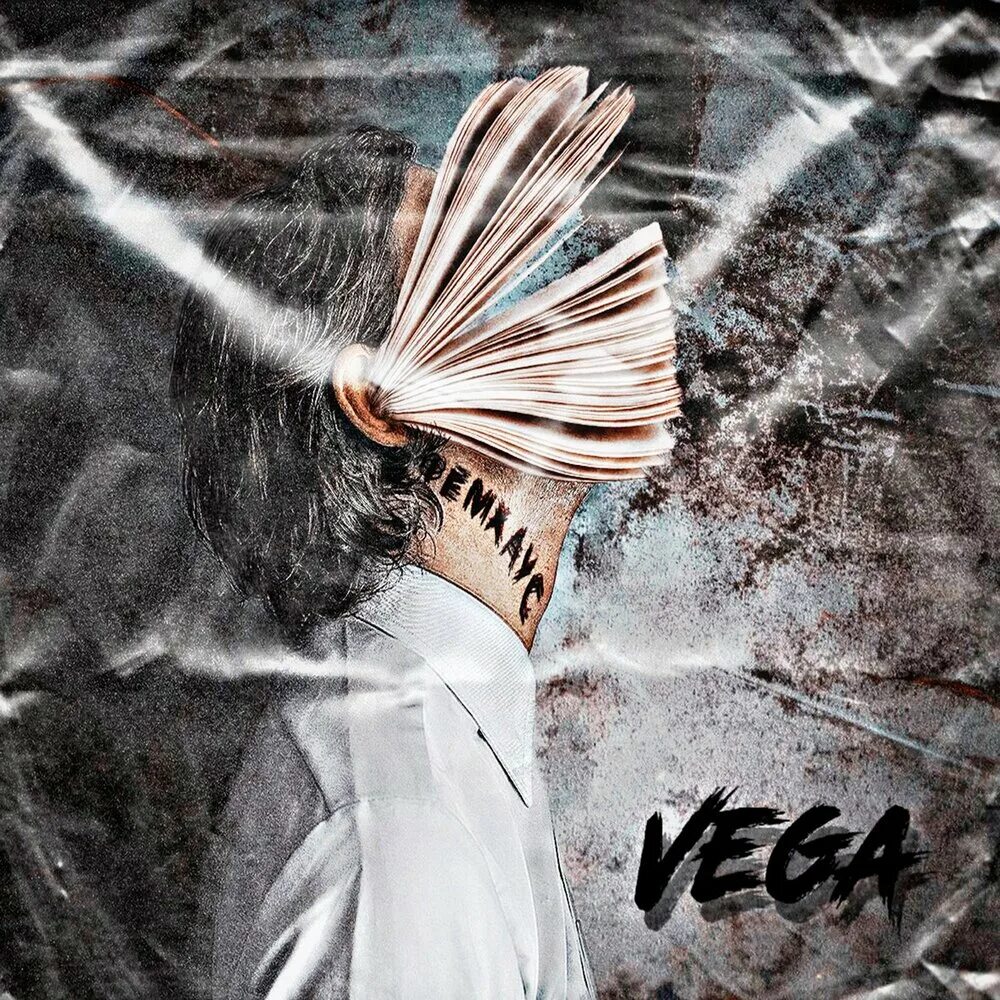 Vega mp3. Vega mp3. Минипризма вега с вешкой. Сьюзан вега. Отражатель мишень vega mp03p с вешкой.