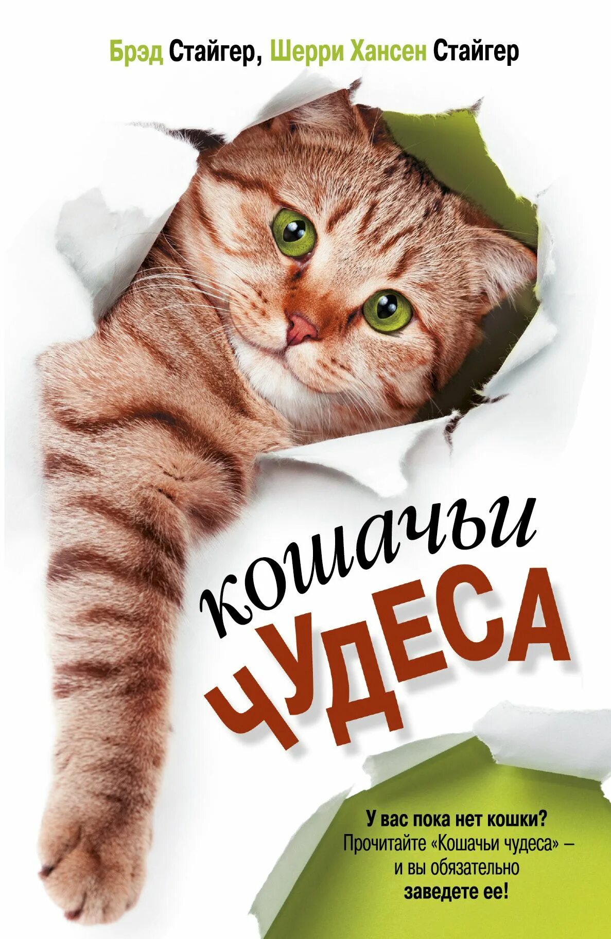 Книга игра кота читать. Книги про кошек. Книги о кошках Художественные. Кошачьи чудеса книга. Детские Художественные книги о кошках.