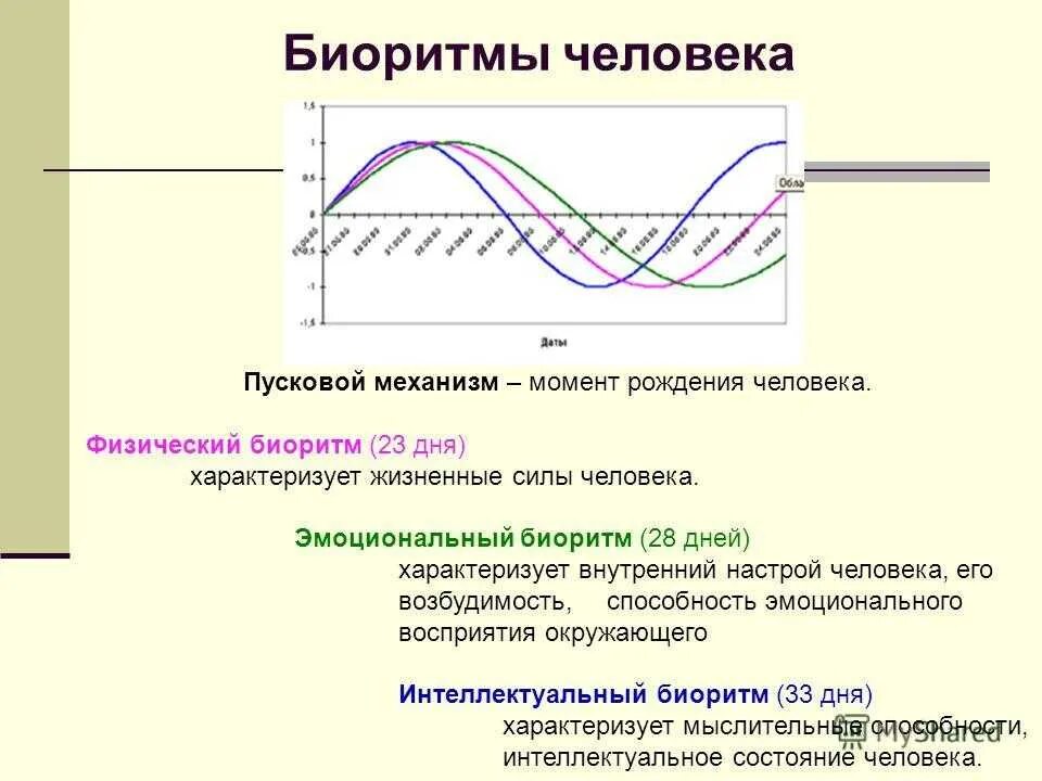 Совместимость биоритмов по дате рождения. Расчетный график биоритмов человека. Расчет биоритмов человека график. График суточных биоритмов человека. Высокочастотные биологические ритмы.