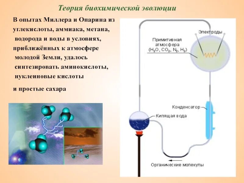 Метан водород аммиак вода. Суть биохимической гипотезы. Опыт Миллера теория биохимической эволюции Опарина. Гипотеза биохимической эволюции сущность гипотезы. Биохимическая теория происхождения жизни.