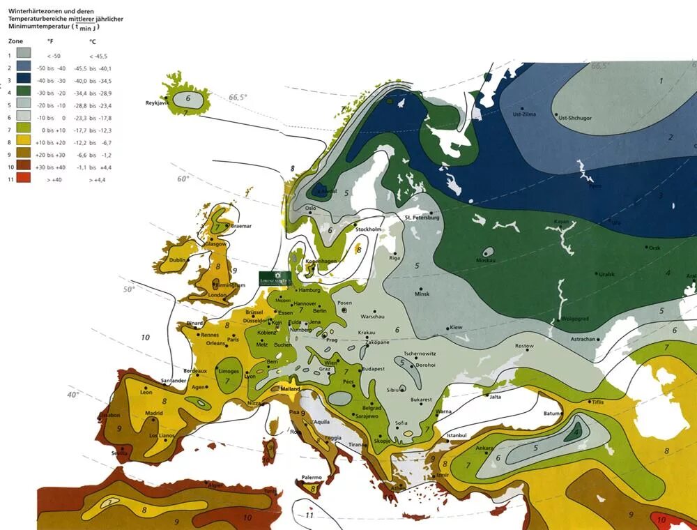 Зоны зимостойкости россии. USDA зоны зимостойкости. Зона морозостойкости USDA. Карта зон морозостойкости USDA. Зоны морозостойкости USDA В России.
