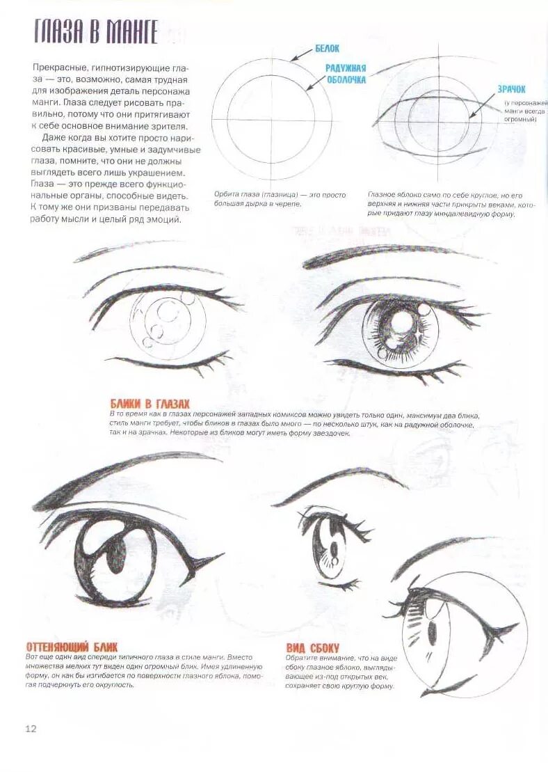 Базовые основы рисования. Основы рисования карандашом. Основы рисования для начинающих. Основы рисования для начинающих. Книга для рисования.