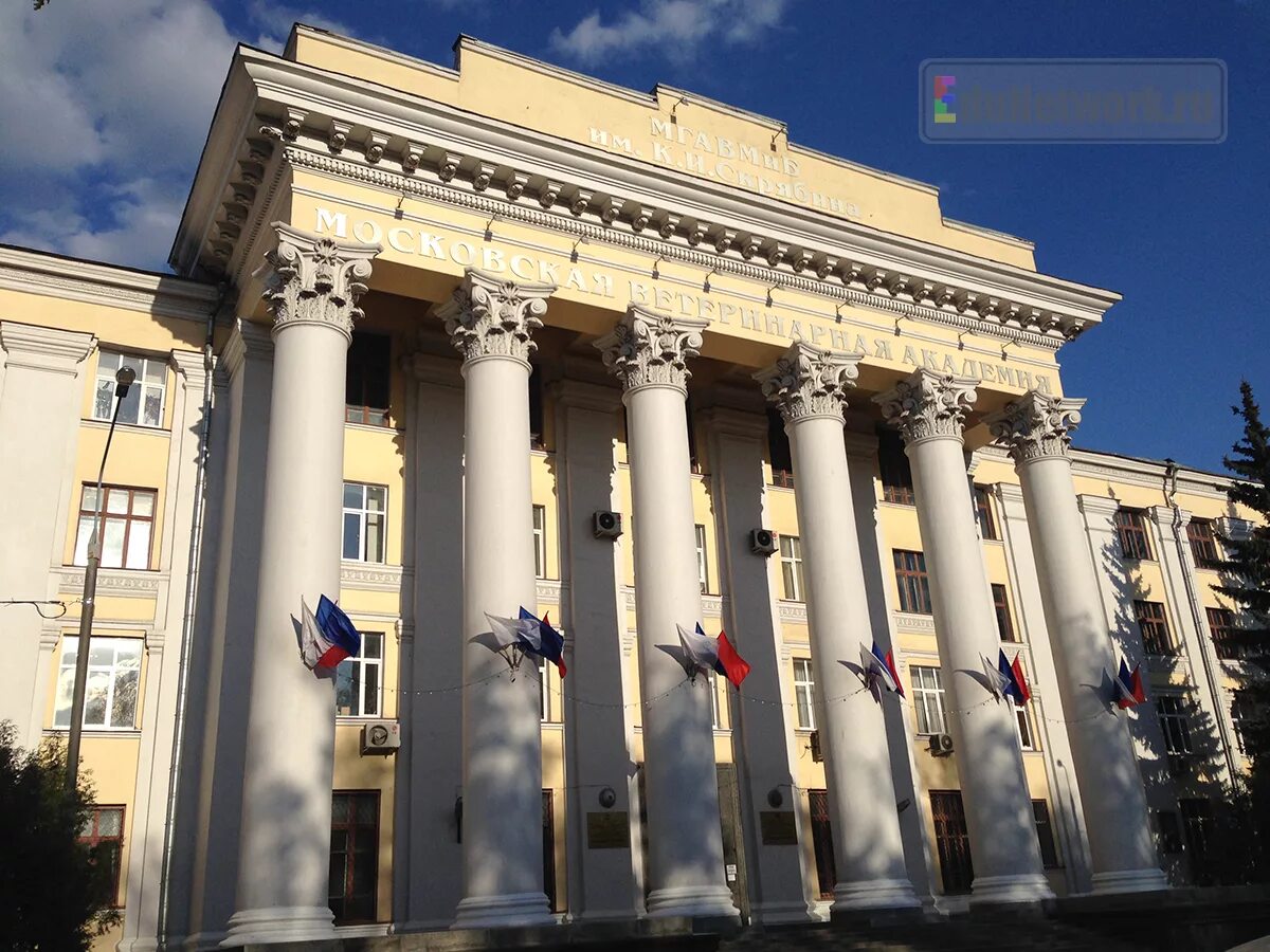 Московская государственная академия ветеринарной. Московская академия скрябина. московская академия ветеринарии и биотехнологии имени к и скрябина. мгавмиб скрябина.