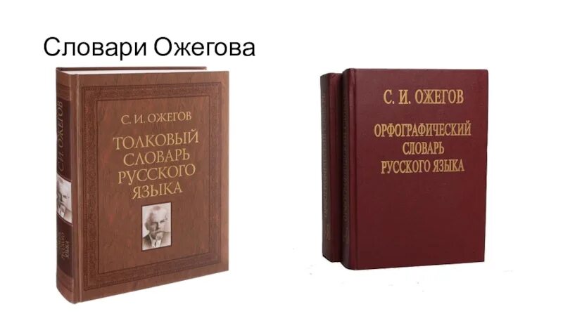 человек словарь ожегова