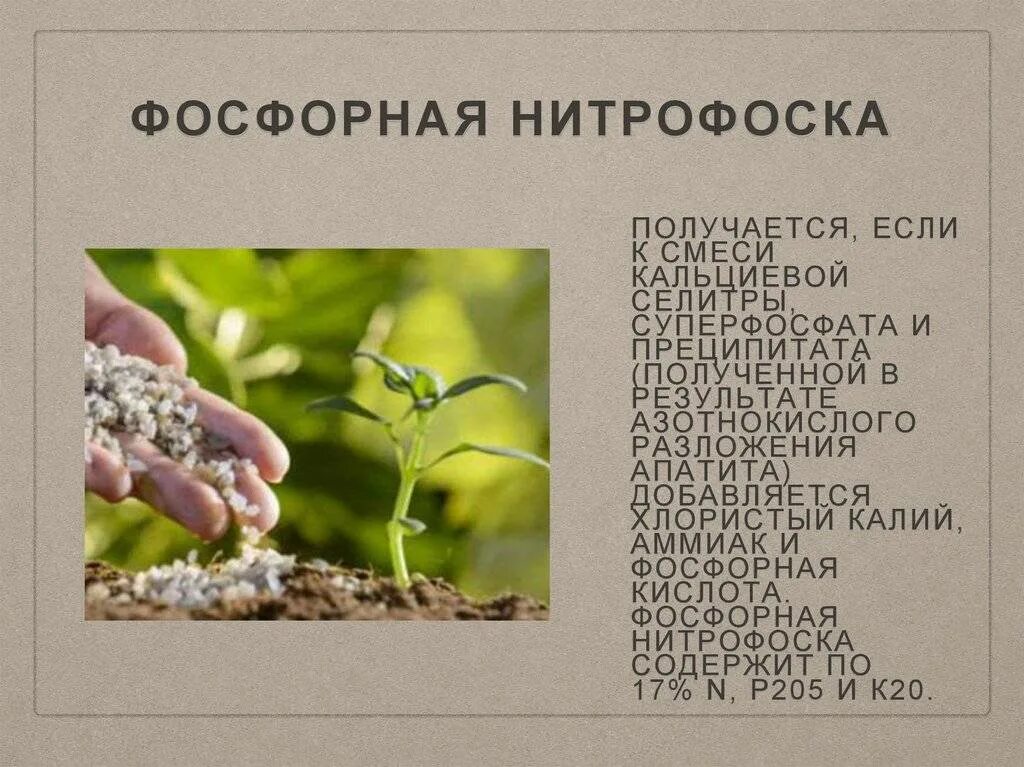 Как сделать вытяжку из суперфосфата