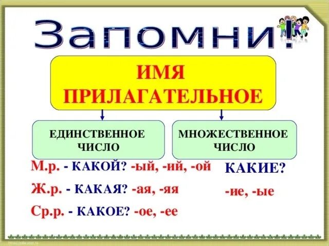 Определение числа и рода