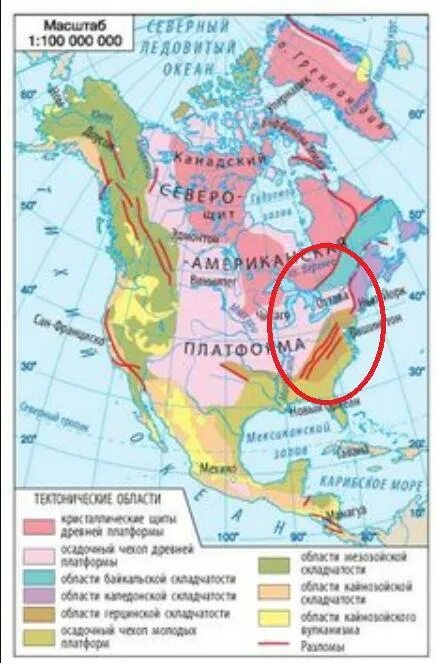 На какой платформе америка. Тектоническое строение Северной Америки карта. Карта геологического строения Северной Америки. Тектоническое строение Северной Америки. Тектоническая карта Северной Америки 7 класс.