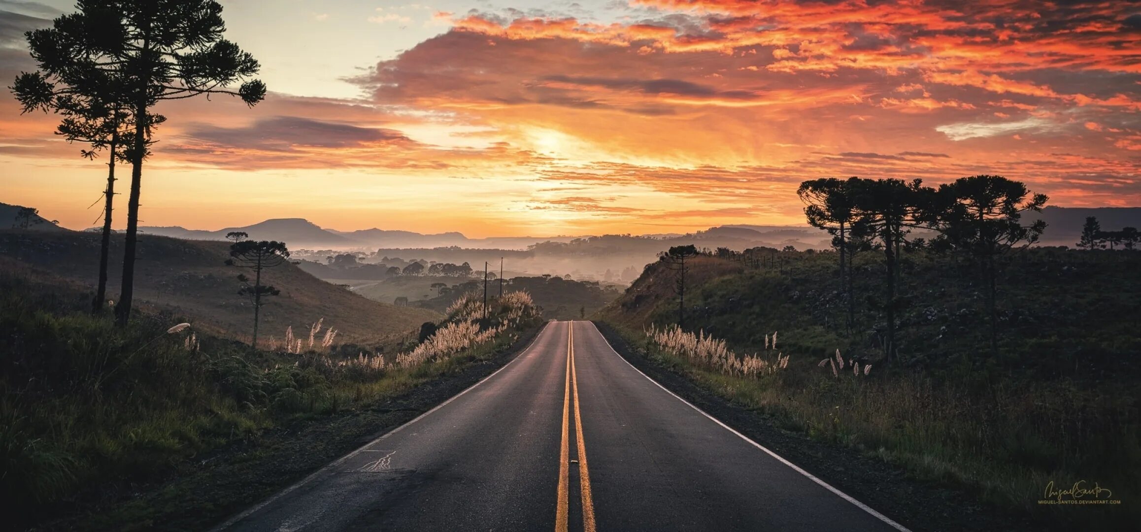 Road views. Direct Road view Top.