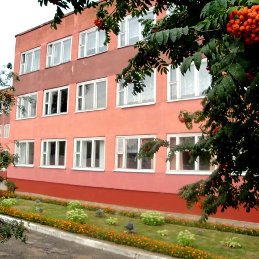 Сайт сш крупки. Средняя школа. средняя школа 3. крупки беларусь.