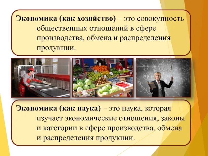 Особенности экономики как хозяйства. Экономика КСК хозяйствою. Экономика как хозяйство. Кономику как хозяйство?. Экономика как наука и как хозяйство.