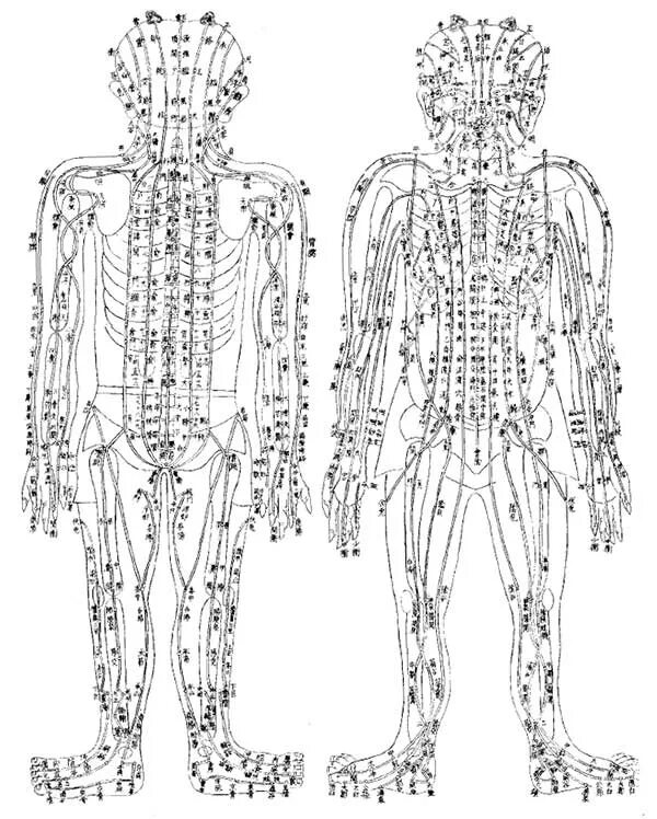 Меридианы человека китайская. Энергетические меридианы тела человека схема. Энергетические каналы человека (меридианы). Энергетические меридианы человека просто и понятно. Энергетические меридианы человека китайская медицина.